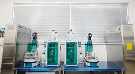 イオンクロマトグラフィ